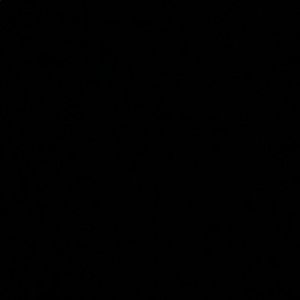 Meet your Posher, Evan